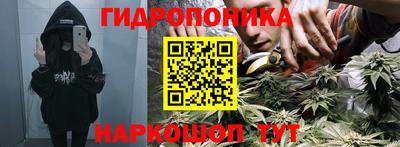 СК Заволжье