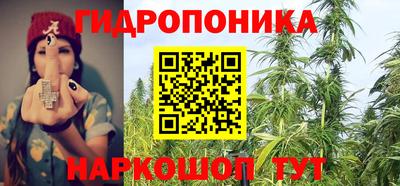 СК Заволжье