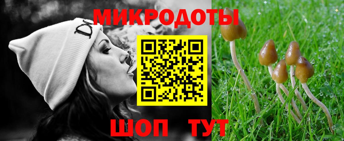 Псилоцибиновые грибы MAGIC MUSHROOMS Гатчина